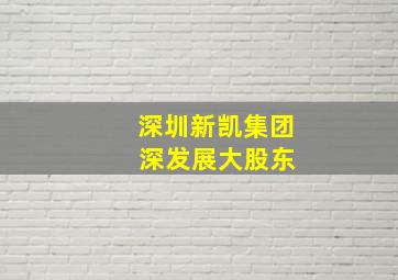 深圳新凯集团 深发展大股东